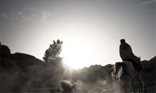 在线呼死你轰炸